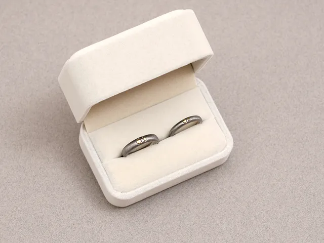 18k White & Yellow Gold Wedding Band (plated in black)