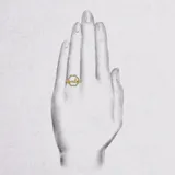 Arto-Artus 一對 · 黃金 2